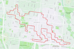 Peta-Lonski-Giant-Kangaroo-Sighting-In-Melbourne