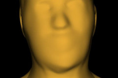 Linda-Croton-Heading-into-the-Future-with-3D-Scanning