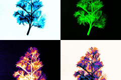 CBoyd_A_WarholParsleyMammogram-3