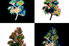 CBoyd_A_WarholParsleyMammogram-4