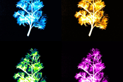 CBoyd_A_WarholParsleyMammogram-5