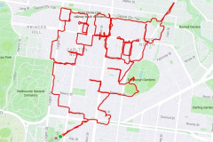 GuyMurphy_GPS_CarltonKoalas_b
