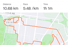 GuyMurphy_GPS_GoldenRetreiver_a