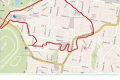 Michael-Ryan-Clearing-out-the-ants-in-Randwick