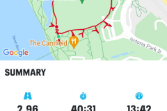 Scott_A_GPS_COVID19_a
