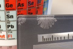 09-Gear-Daniel-Badger_G_Lead-Oxide-flowers