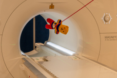 26-Gear-JonathanGoodwin_G_Teddy_ive_got_you