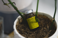 Andy-Young-Nuclear-Medicine-Still-Growing