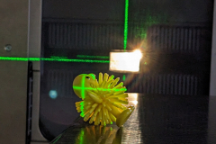 Broderick-McCallum-Hee-Precision-Quacktherapy