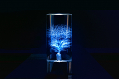 Captured lightning #5