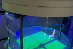 Farnaz-Taba-When-physics-gets-lit