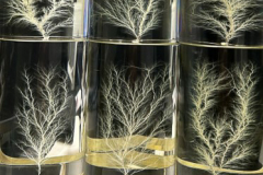 valpeng-electrontrees