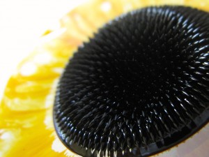 010 M - Ferrofluid