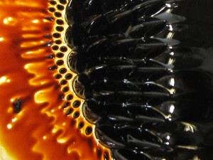 012 M - Ferrofluid3