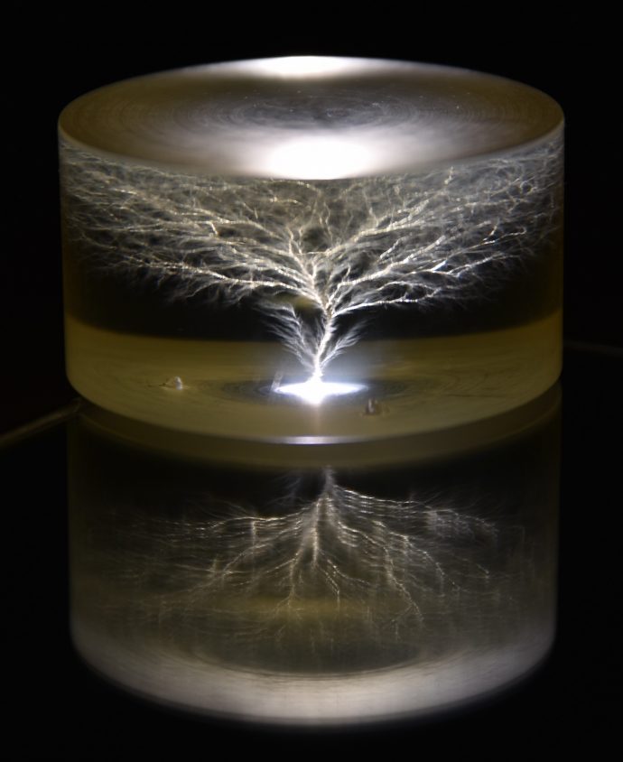 PiMP 2019 Archives - Photography in Medical Physics - PMP